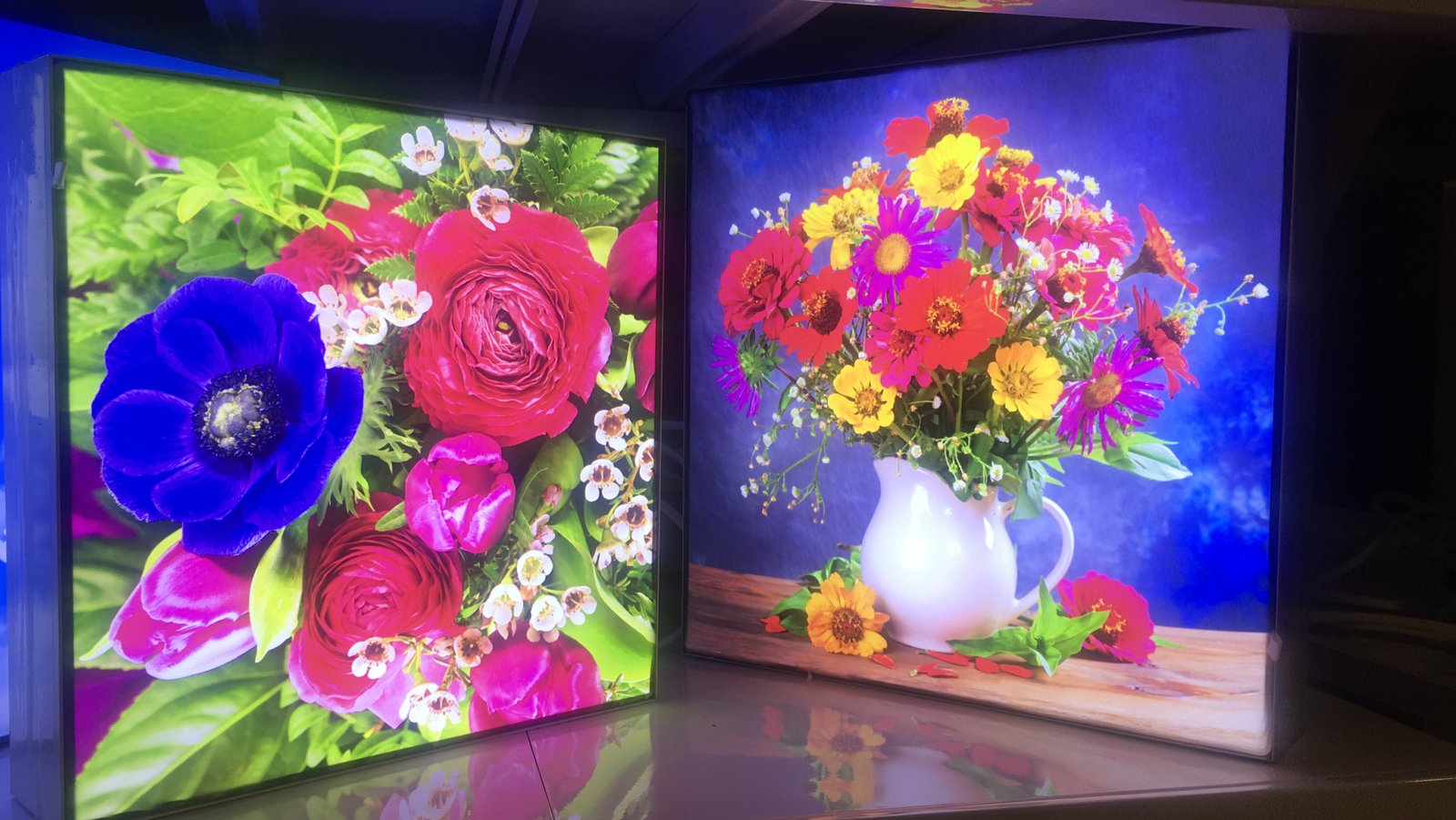 Fabric Light Box Image